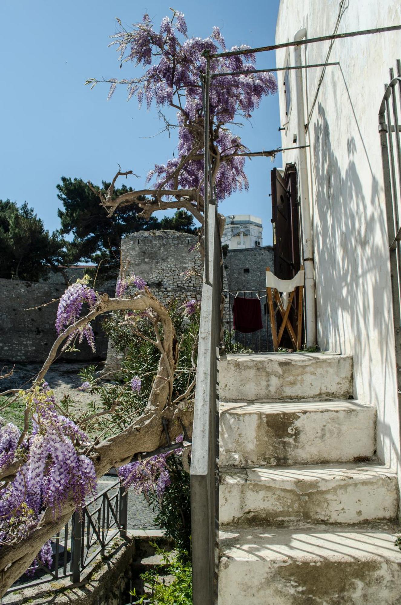 Torre La Mezzaluna Bed and Breakfast Βιέστε Εξωτερικό φωτογραφία