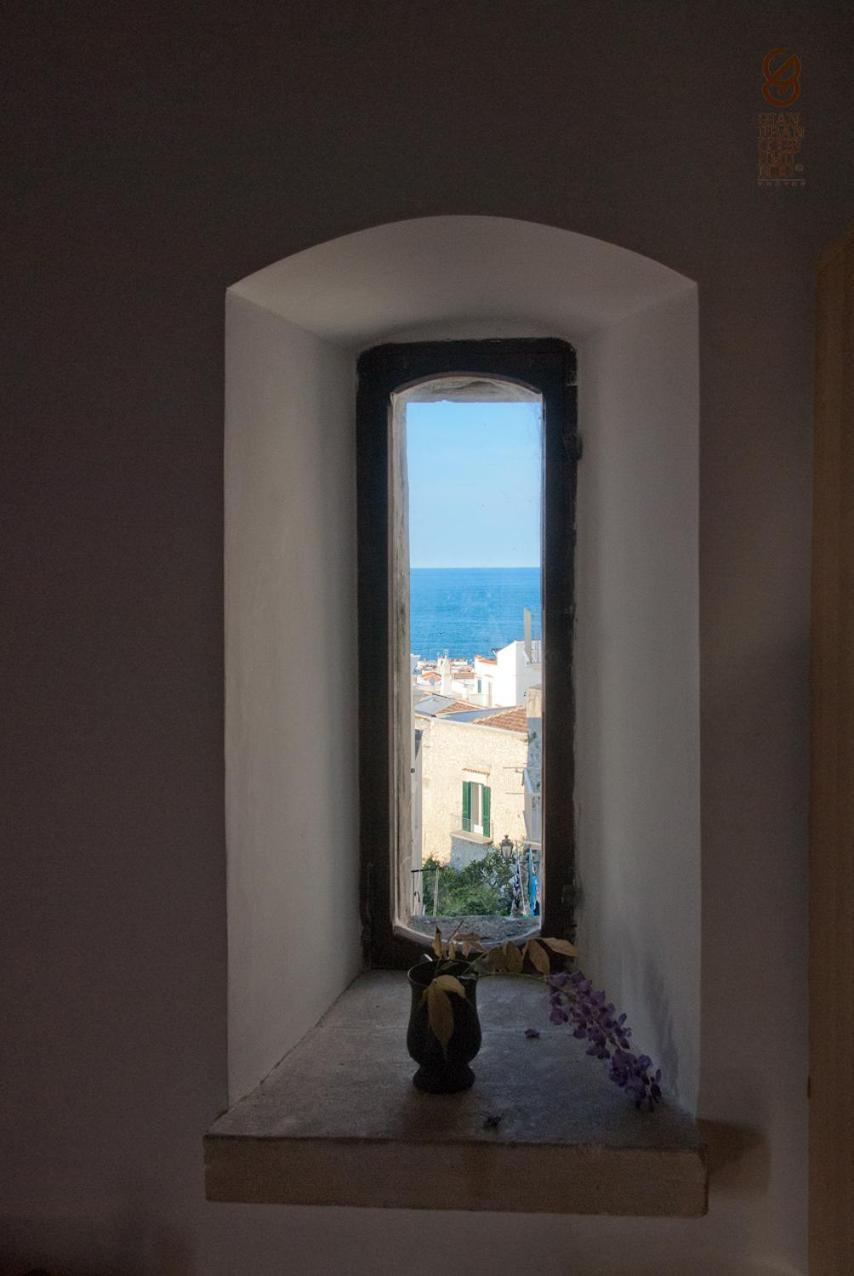 Torre La Mezzaluna Bed and Breakfast Βιέστε Εξωτερικό φωτογραφία