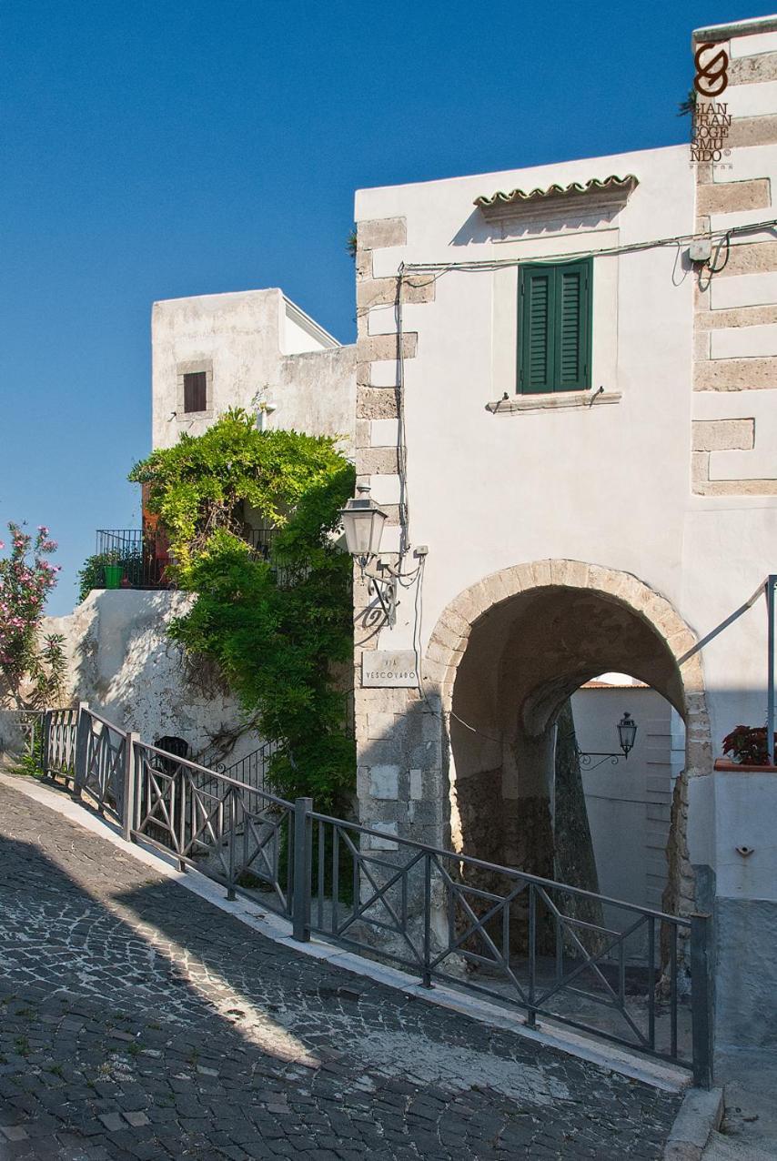 Torre La Mezzaluna Bed and Breakfast Βιέστε Εξωτερικό φωτογραφία