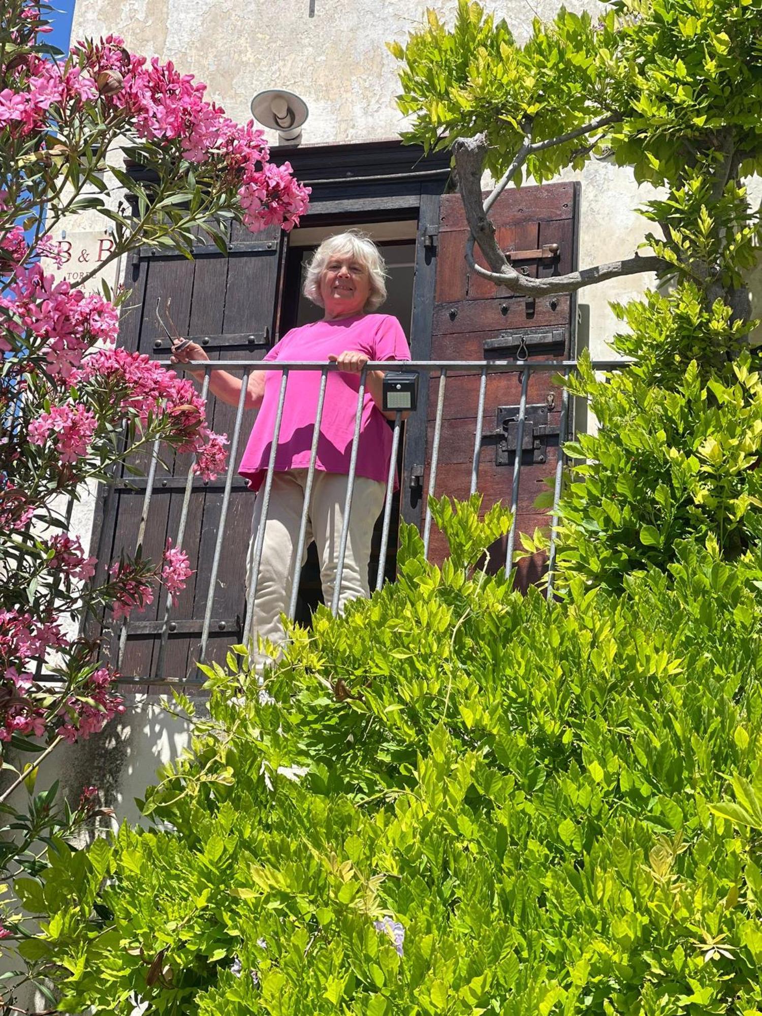 Torre La Mezzaluna Bed and Breakfast Βιέστε Εξωτερικό φωτογραφία